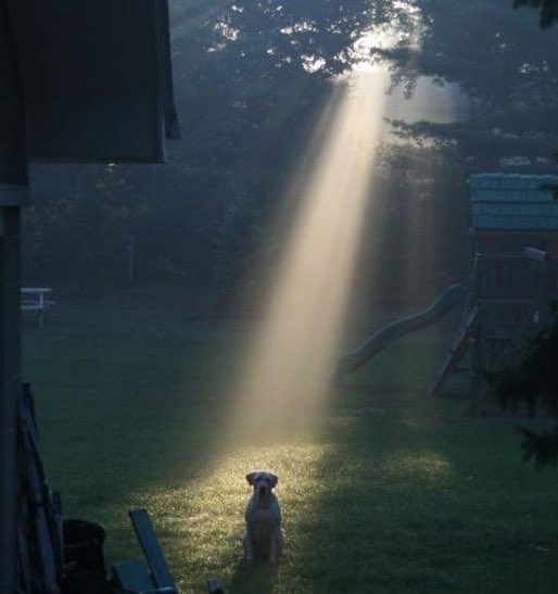 Şöyle hissettiren bir duygu tarif etsek…