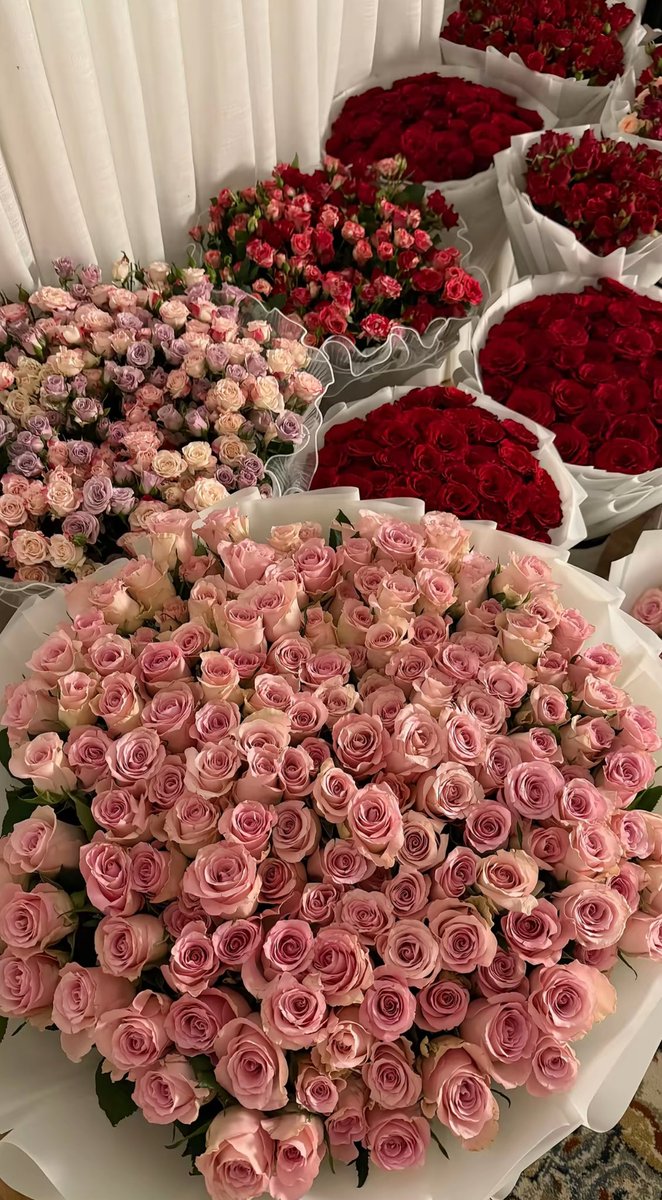 flloverland's tweet photo. https://t.co/ZiJbIbypNa