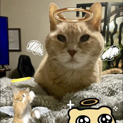 #NewProfilePic