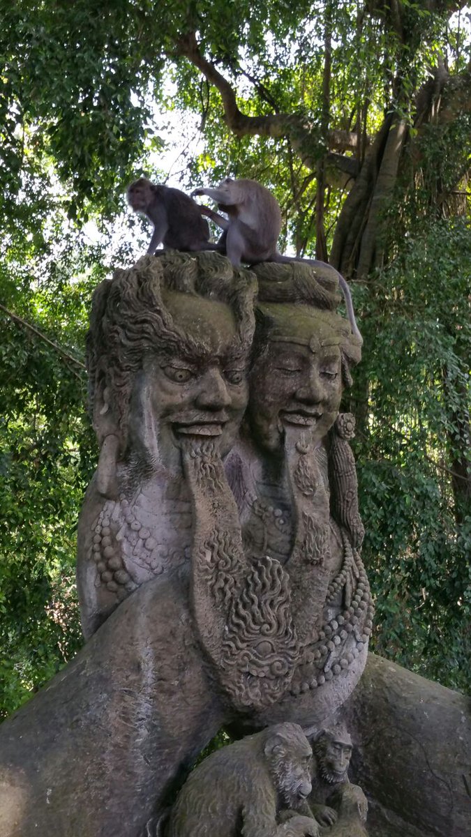 bluebird00010's tweet photo. Went to the #SacredMonkeyForest 🙉 in #Ubud #Bali
Made eye contact with a #monkey
Now we’re in a situationship💗
Lost my dignity, a granola bar, and almost my sunglasses🕶
10/10 spiritual experience🤸♀️
#MonkeySeeMonkeySteal
#FlirtedWithAMonkey
#visitubud
#ilovebali
#UbudNature https://t.co/q4vp6DiZaT
