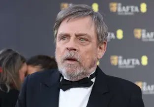 Guess which retard came crawling back to X 👇