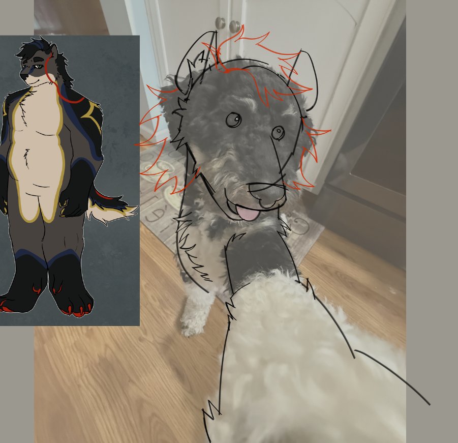 vomitB4me123 tweet media