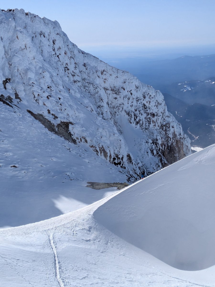 Thomas Gilmartin tweet media