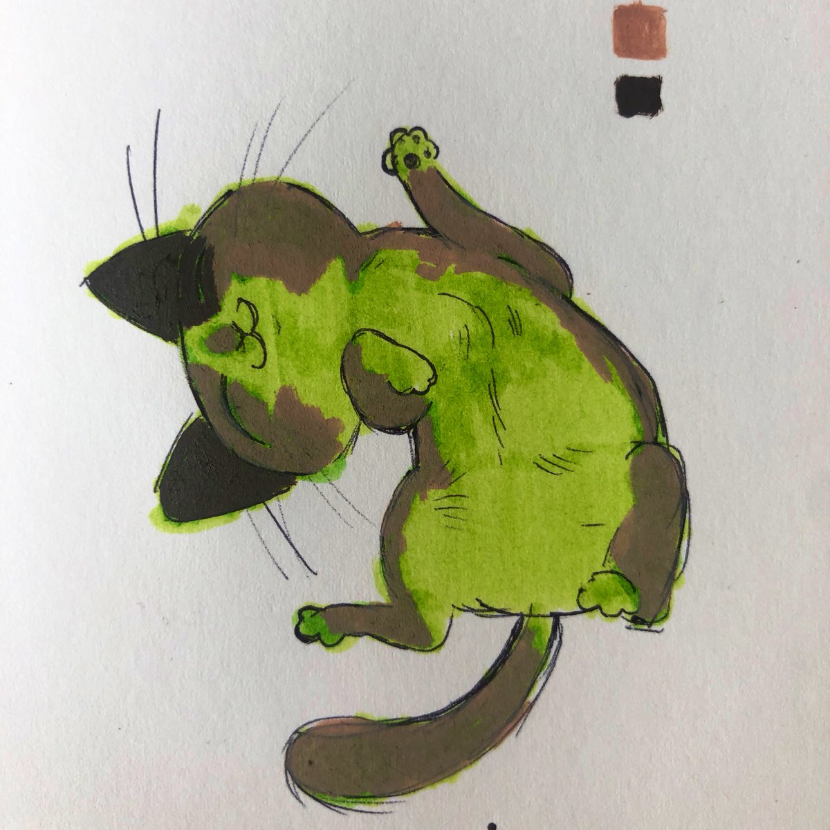 MORTEM 🥩🥩 tweet media