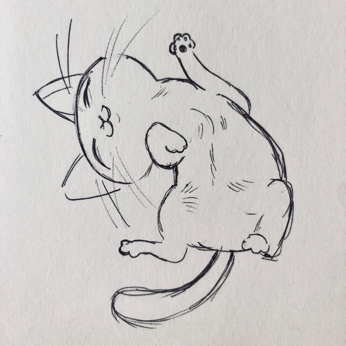 MORTEM 🥩🥩 tweet media