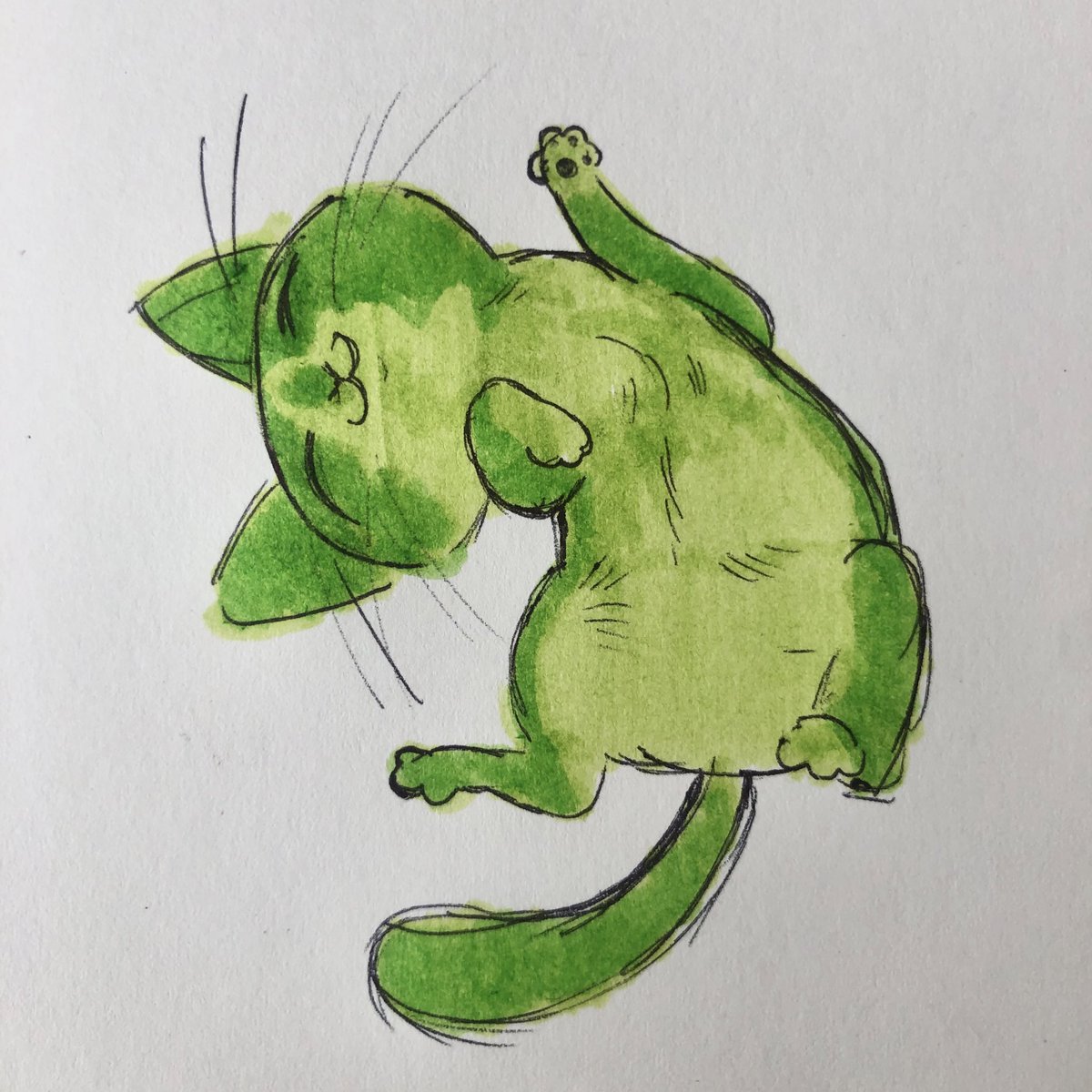 MORTEM 🥩🥩 tweet media