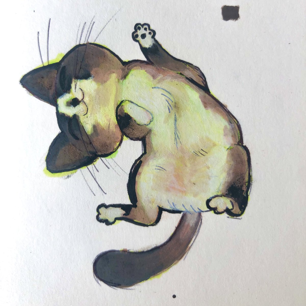 MORTEM 🥩🥩 tweet media