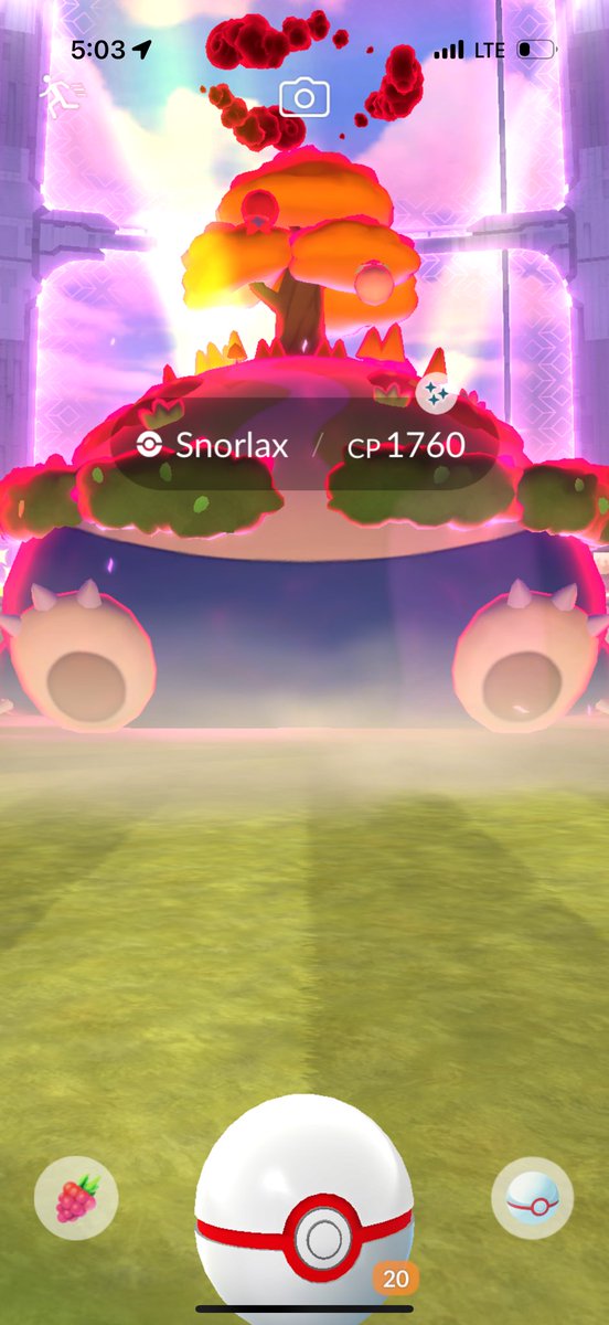 𝓶𝓼 𝓹𝓸GOBIRDS✿ tweet media