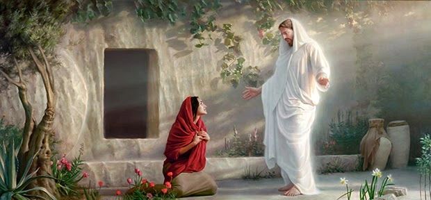 thumbfollowme's tweet photo. He is Risen ✨🌅💖
The tomb is empty, the Savior lives, and hope is eternal!
From our Thumb Follow Me family to yours—Happy Easter 🐣🌷
🎥 Watch this Easter message:
https://t.co/R9Ct6UYuJI
#HeIsRisen #ThumbFollowMe #ComeFollowMe #DandC #Easter #GreaterLove #BecauseOfHim https://t.co/JxHguKkBfr