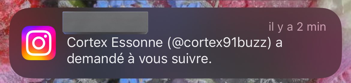 cronchetesmorts's tweet image. DRAAAAAA