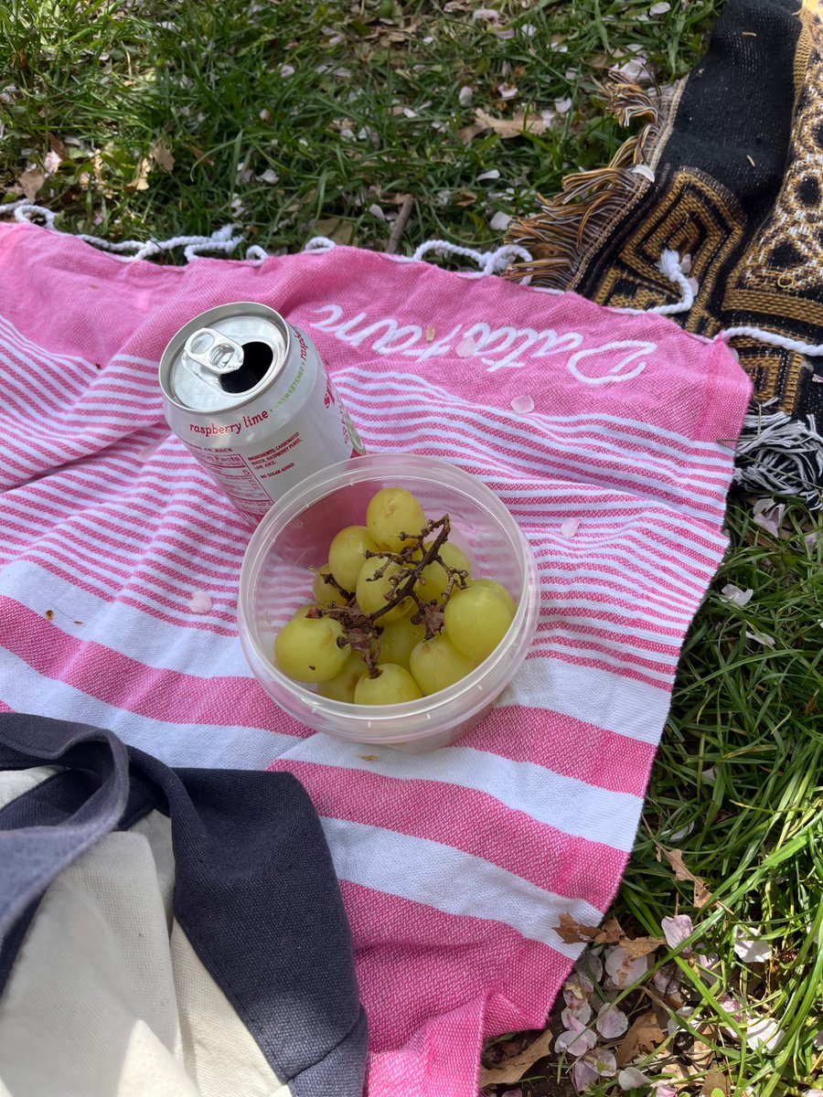 Elaine Yuan (@datadrawnyuan) on Twitter photo Love using my #datafam Turkish towel from #tc24 #data24 - perfect hanami 🌸 picnics in <a href="/CentralParkNYC/">Central Park</a> Love using my #datafam Turkish towel from #tc24 #data24 - perfect hanami 🌸 picnics in <a href="/CentralParkNYC/">Central Park</a>