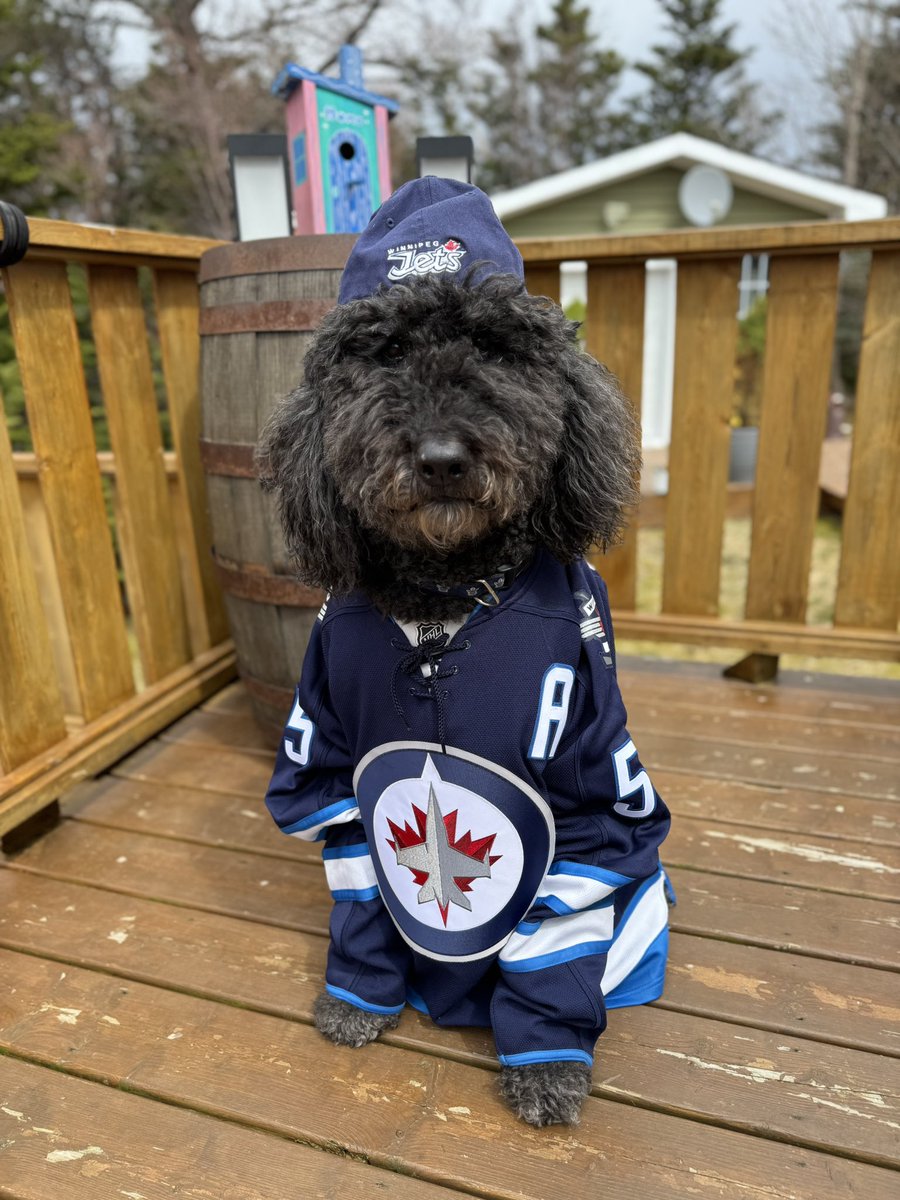 brianbutton28's tweet image. Game Night …..Get this party started….Go Jets Go! @hockeynight @FriedgeHNIC @KellyHrudey