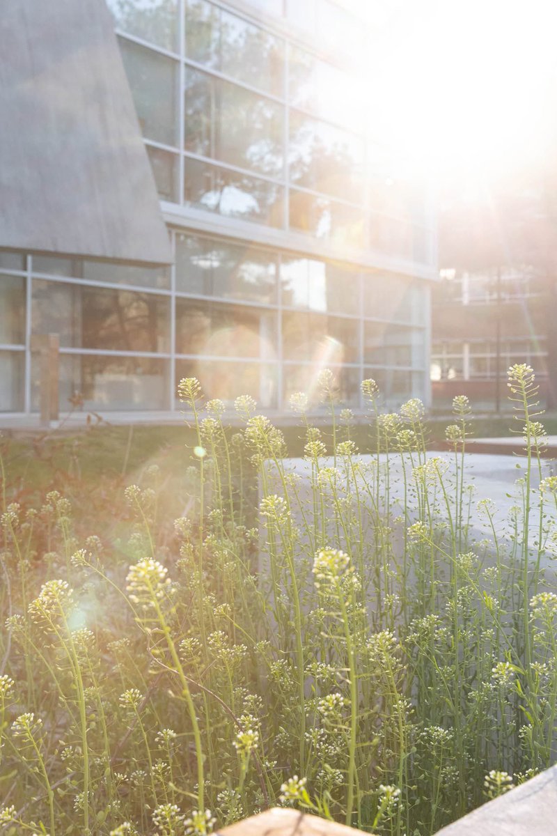 Happy Saturday, Profs! 😌✨