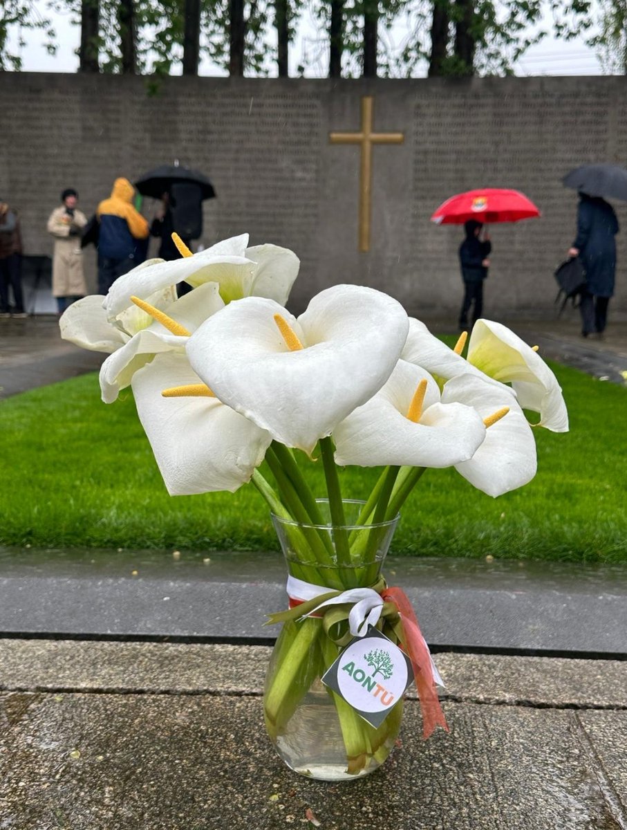 June Dillon - Aontú Clare (@junedillonaontu) on Twitter photo 