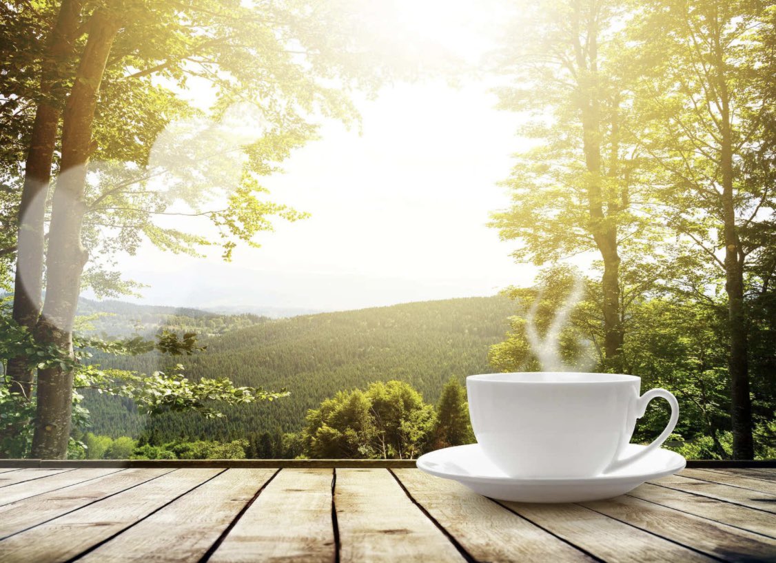 Энэ өглөний мэндээ