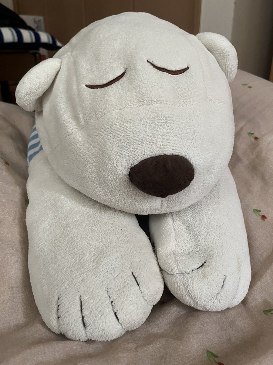 おはようございます。