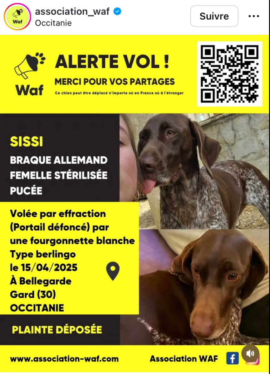 conileetmax's tweet photo. Pouvez-vous faire tourner ? Merci. https://t.co/rAdp3HnmcO