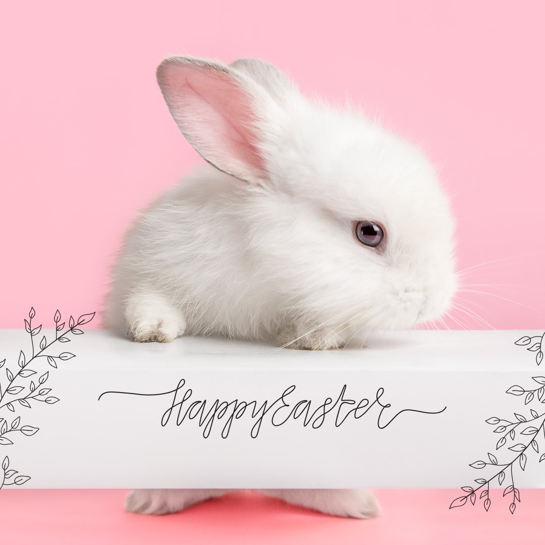 bondi_38's tweet photo. 🌊🐰 Hop into the Easter spirit at Beachfront Bondi! ⁠
🌸 Hoppy Easter from Bondi 38! ⁠
⁠
https://t.co/x2oD21fyob⁠
✨ Book now: 0409 946 313 ✨ ⁠
⁠
#bondi38 #HappyEaster #Bondi38 #BeachLife #EasterVibes 🐣🌅⁠ https://t.co/y1gw0zI7e4