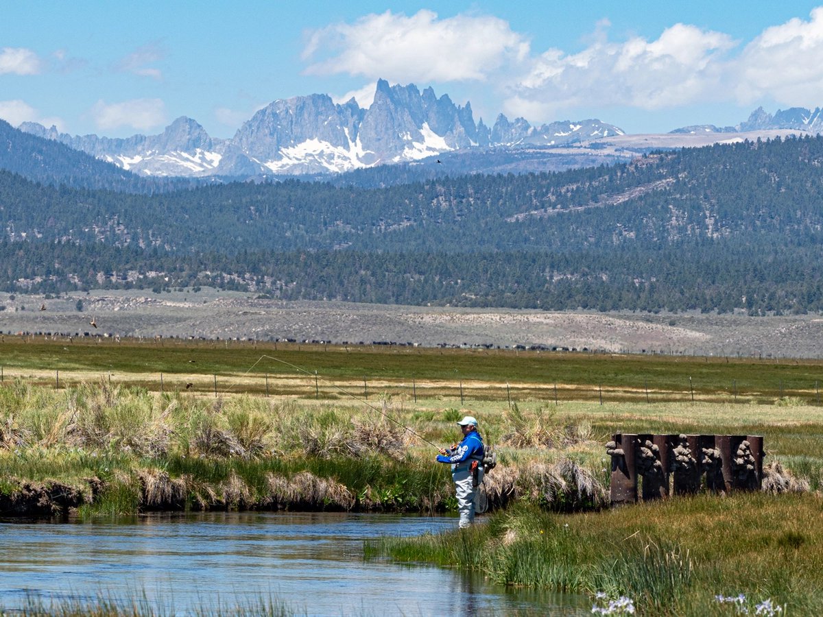 cahighsierra's tweet photo. The #HighSierra is legendary π£ for its #fishing, especially #trout. With fish coming off a long winter, will you attempt to catch a Sierra #GrandSlam on this hallowed day of #Fishmas?
π Fishing This Spring In The High Sierra
https://t.co/jQvcRJ9Gae https://t.co/jNv84a99lC