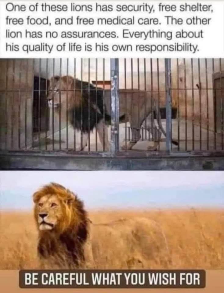 💯