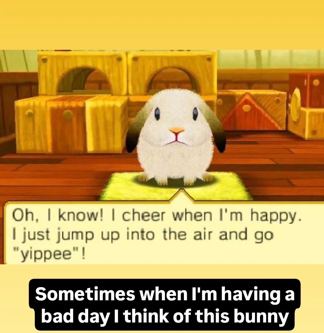 Bunnies (@bunnies) on Twitter photo 