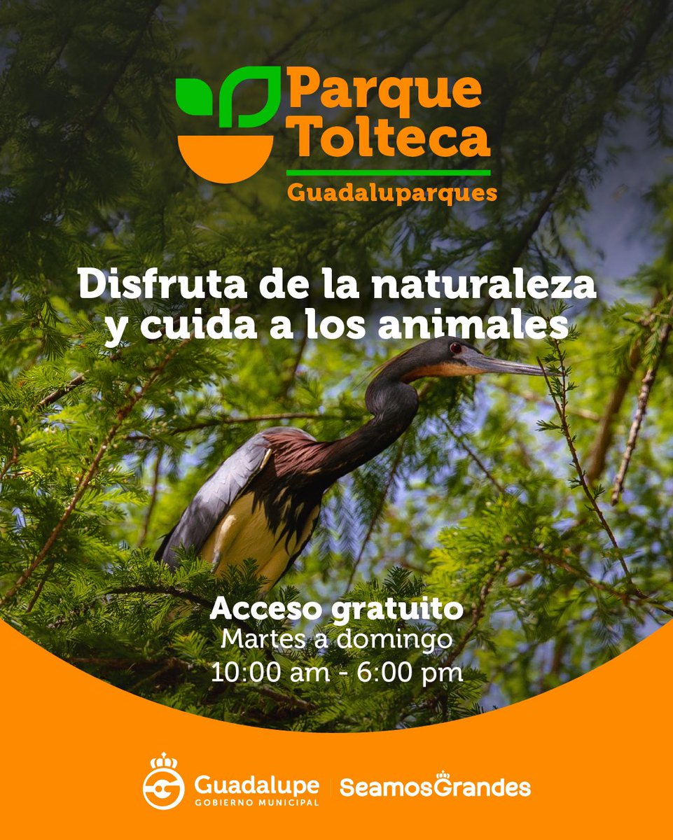 Trae a tu familia a  disfrutar la naturaleza y descubrir a todos los animales que viven en el Parque Tolteca. 🦆🌳✨
 
¡Visita el #Guadaluparque y cuida sus animalitos!! 

#SeamosGrandes 🌄