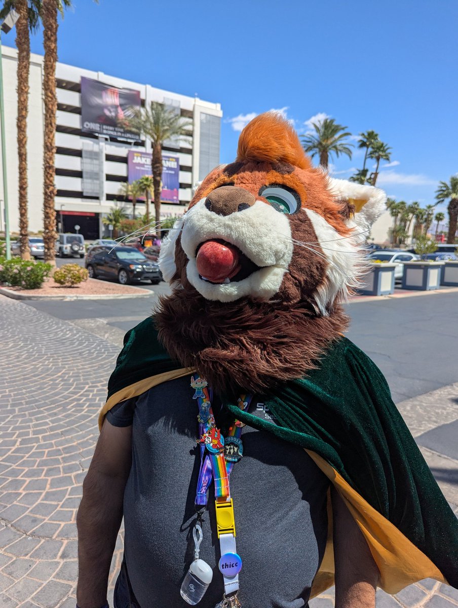 Jck123owo's tweet photo. @Burbley1 is a silly wah :3

#LVFC #LVFC25 https://t.co/WGJJzo3aZw