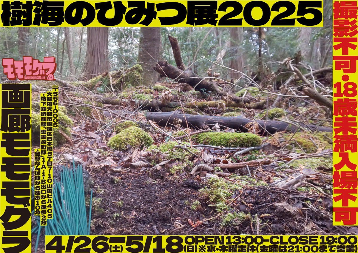 nakamura47331's tweet photo. 『樹海のひみつ展2025』関連イベント予定

『樹海のひみつ展2025』@モモモグラ
樹海で撮った外には出せない写真の写真展
会期：4/26（土）ー 5/18（日）
入場無料！

樹海の写真展ギャラリートーク
5/3（土）13：00〜 or 14：00〜
樹海の写真を前に解説していきます
https://t.co/yAMdwq4ilT https://t.co/LHxCe7KZxi
