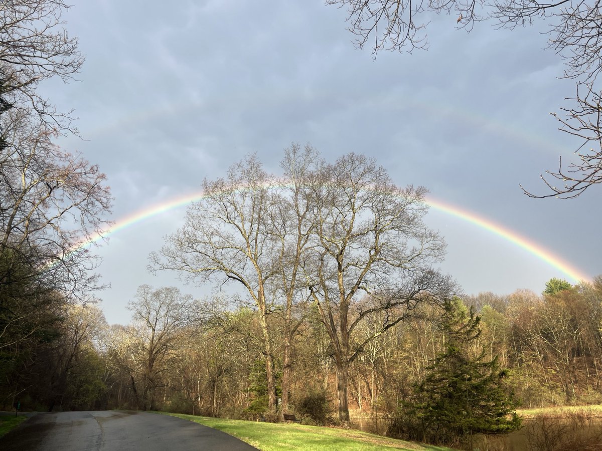 Glad I decided to take a walk in the rain