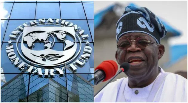NetworkNew61534's tweet photo. IMF Report Offers Insights into Challenges and Opportunities in Nigeria’s Economy 

https://t.co/mW7CJY57DW https://t.co/02W8DAvqaY
