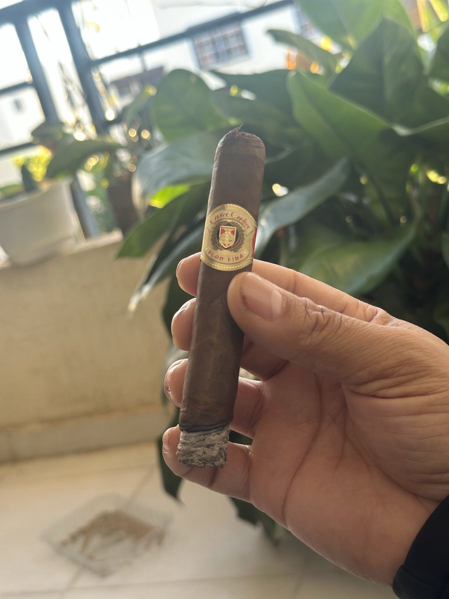 Flor fina casa cuba doble 5 @Artturo fuentes 💪💪💪