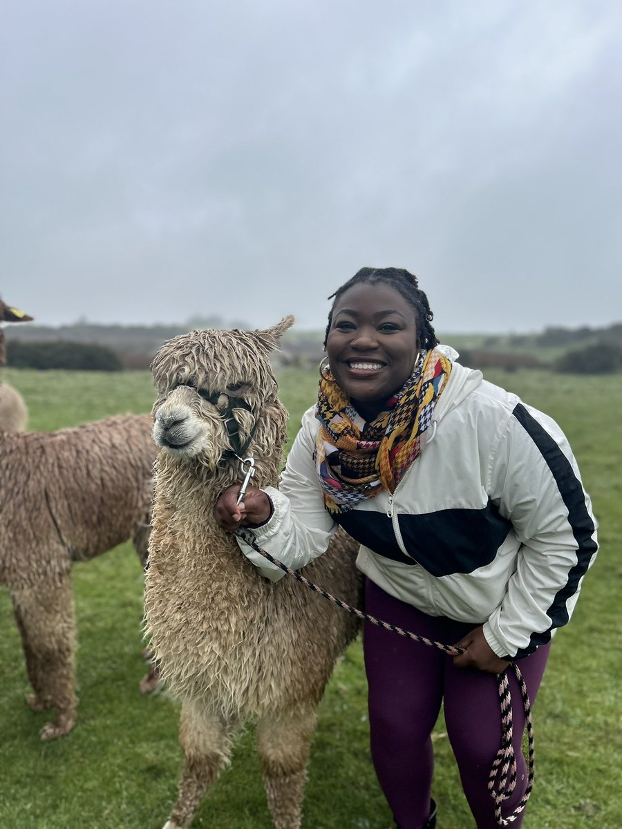 Keep calm and walk an alpaca! 🦙✨