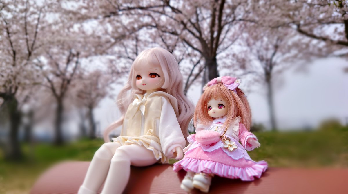 おはようございます(*˙ᵕ˙*)