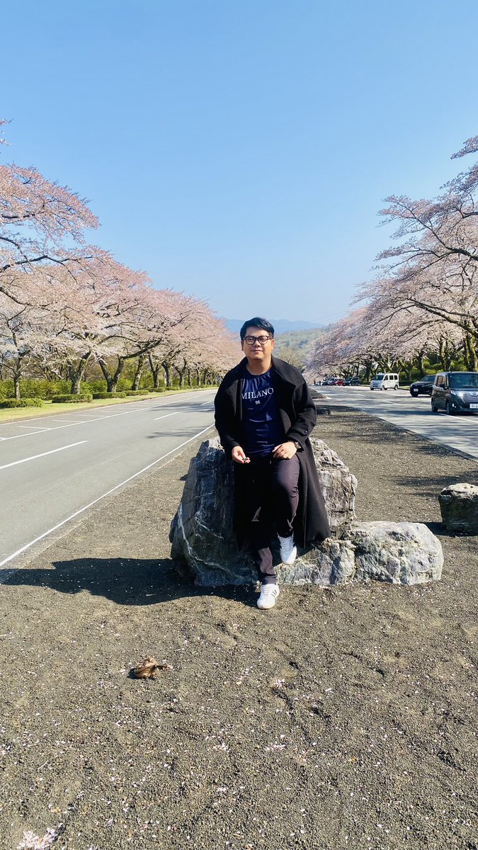 kimlu88's tweet photo. sakura https://t.co/wiEQdOz5mW