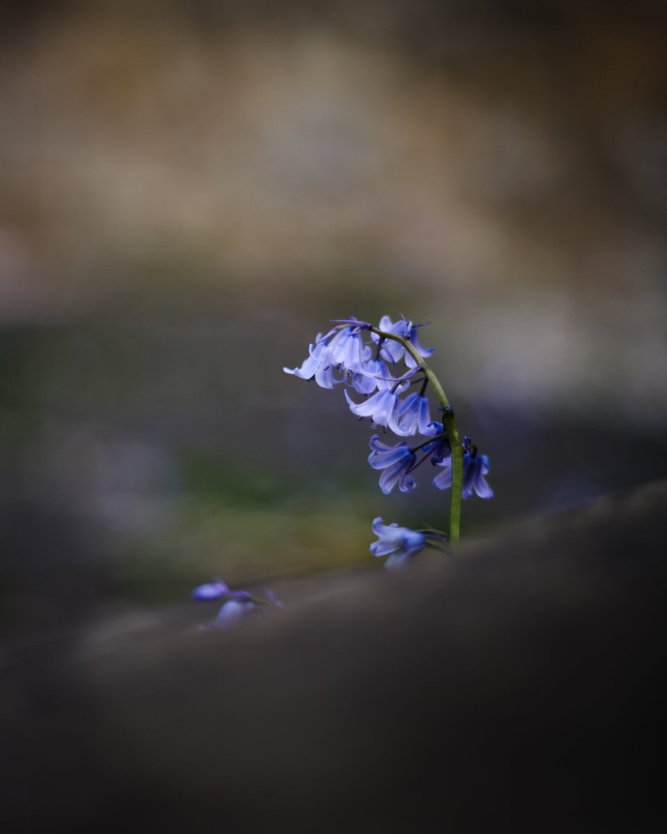 Alfred Kenneally 📷 tweet media
