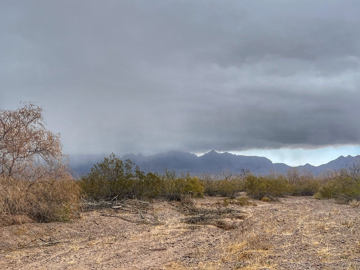 NewMexicoVibes's tweet photo. Feels like winter again. #SpringinNewMexico https://t.co/y84zh9JE3i