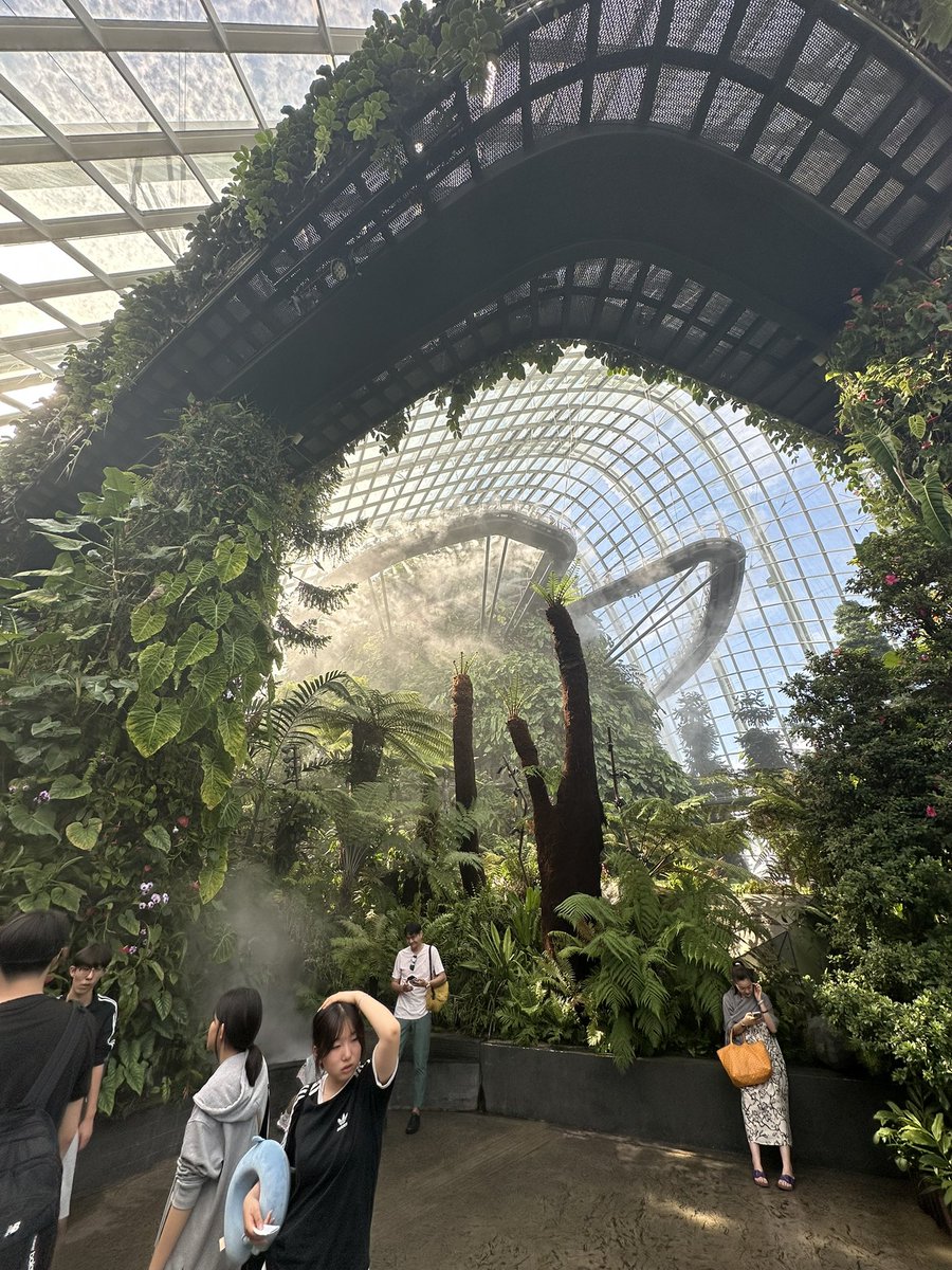 Singapore is an incredible country. Did you know their GDP is greater than Malaysia’s!

The founding and early story of Singapore will bring a year to any conscious person’s eye. 

Salute and respect to this great city state, packing a real punch.