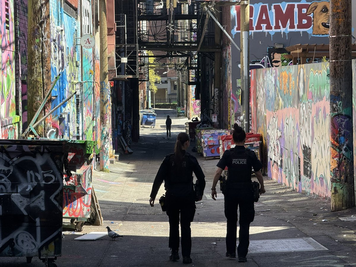 David Steverding tweet media