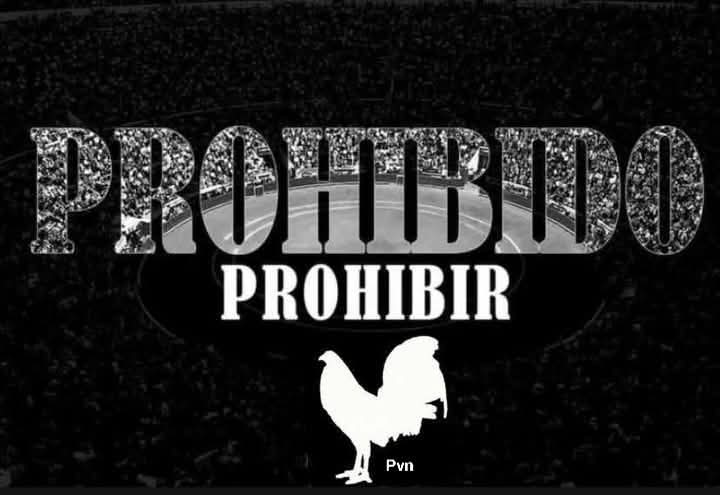 gallerosmxweb's tweet photo. #ProhibidoProhibir https://t.co/O9T63uexjq