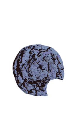 ❛ 𝐭𝐡𝐞 𝐬𝐮𝐧 。 tweet media