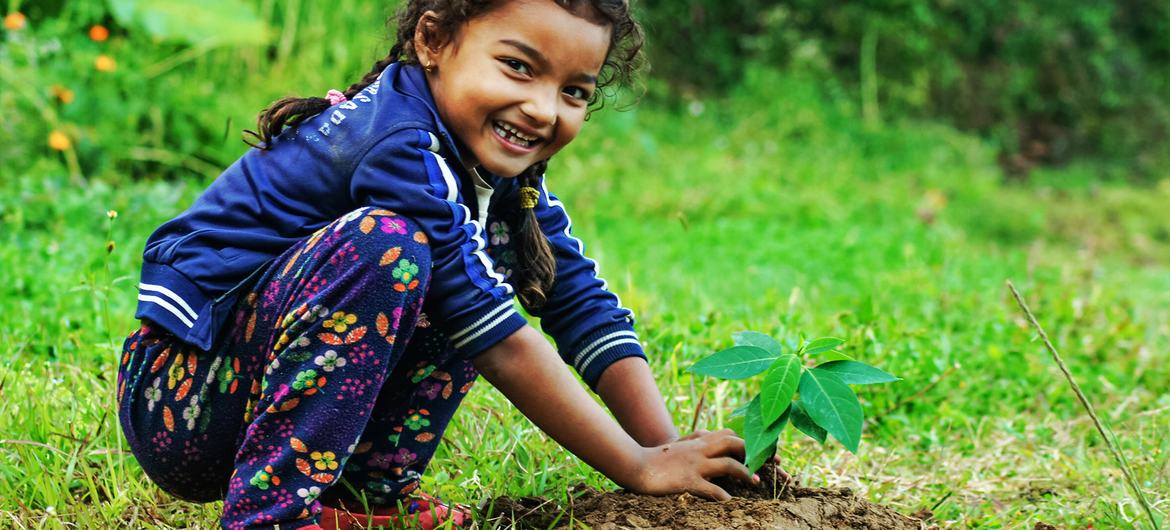 Climat, biodiversité, déchets : 8 bonnes solutions à travers le monde - espacedev espacedev.net/2025/04/20/cli…