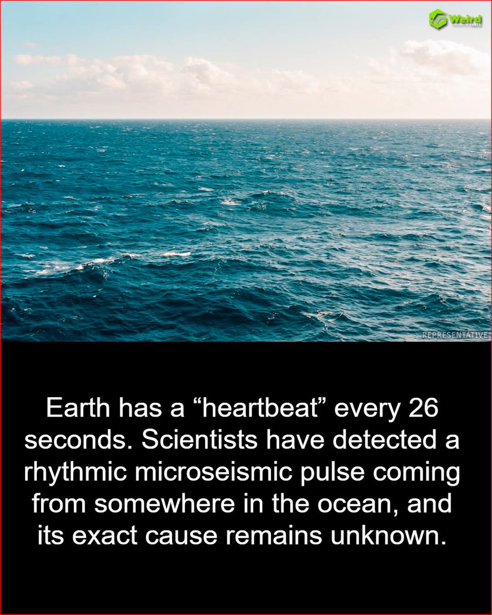 Katstruths's tweet image. 