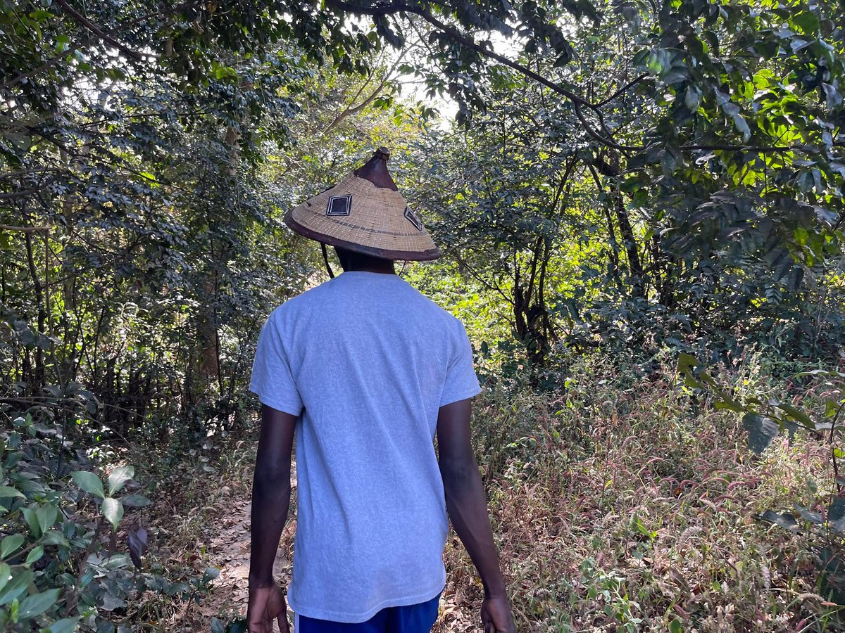 Sally Bilaly SOW ™ 🇬🇳 tweet media