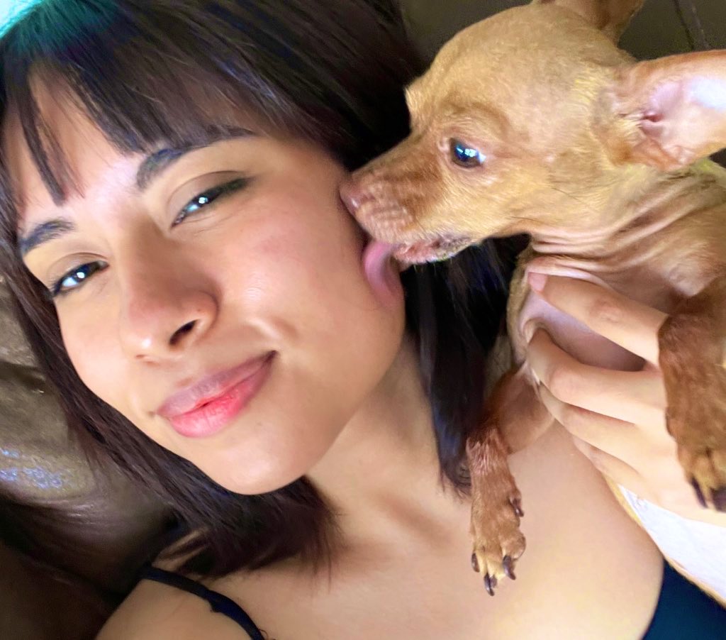 dulceglls2's tweet photo. no hay fotos de canelita por aquí 💓 https://t.co/cGPSxqrr5t