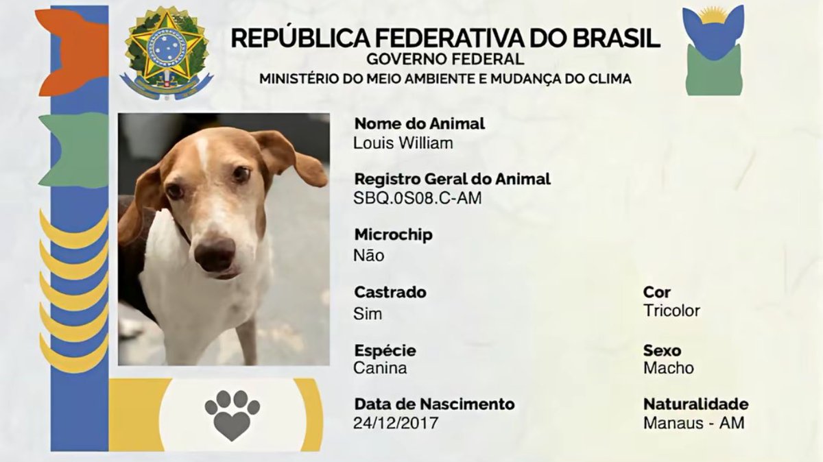 🚨VEJA: Internautas mostram o RG de seus animais de estimação; mais de 30 mil pessoas já emitiram o documento.