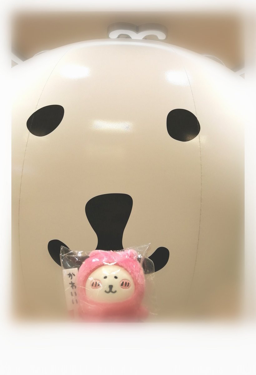 ナガノマーケット ローズなナガノのくま かわいい札持ち ハートな ナガノマーケット ナガノのくま カラーなマスコット ローズ ハート 9点セット