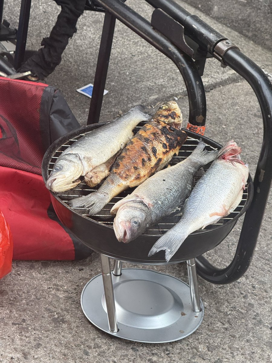 Casey's tweet photo. saw a guy on Canal Street grilling 4 whole fish.  he was so psyched. https://t.co/EOlEfbZhUs