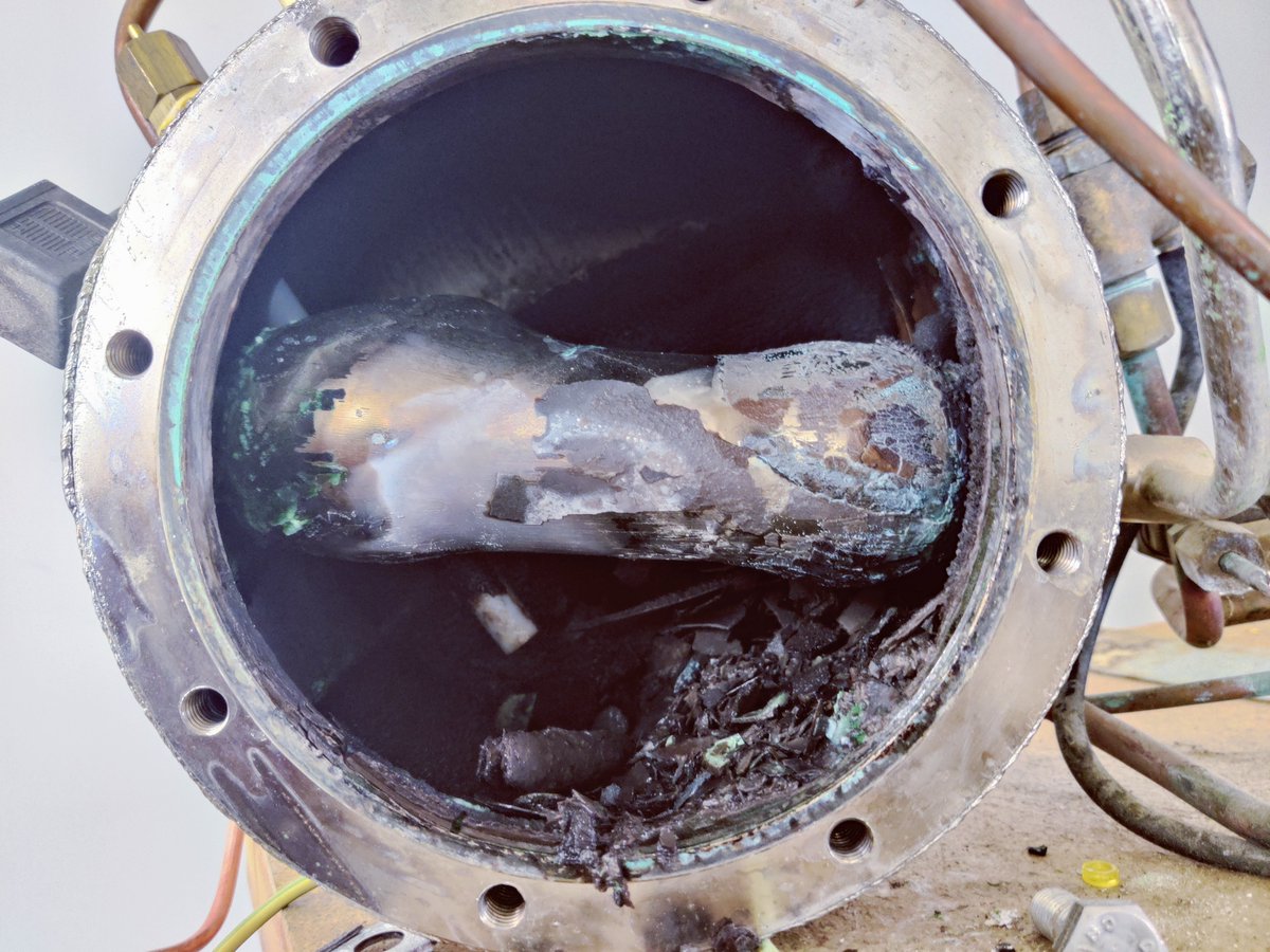 Oh God. What happened to you?