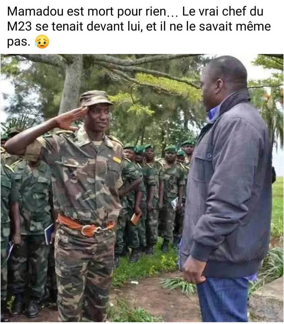 kimemaou tweet media