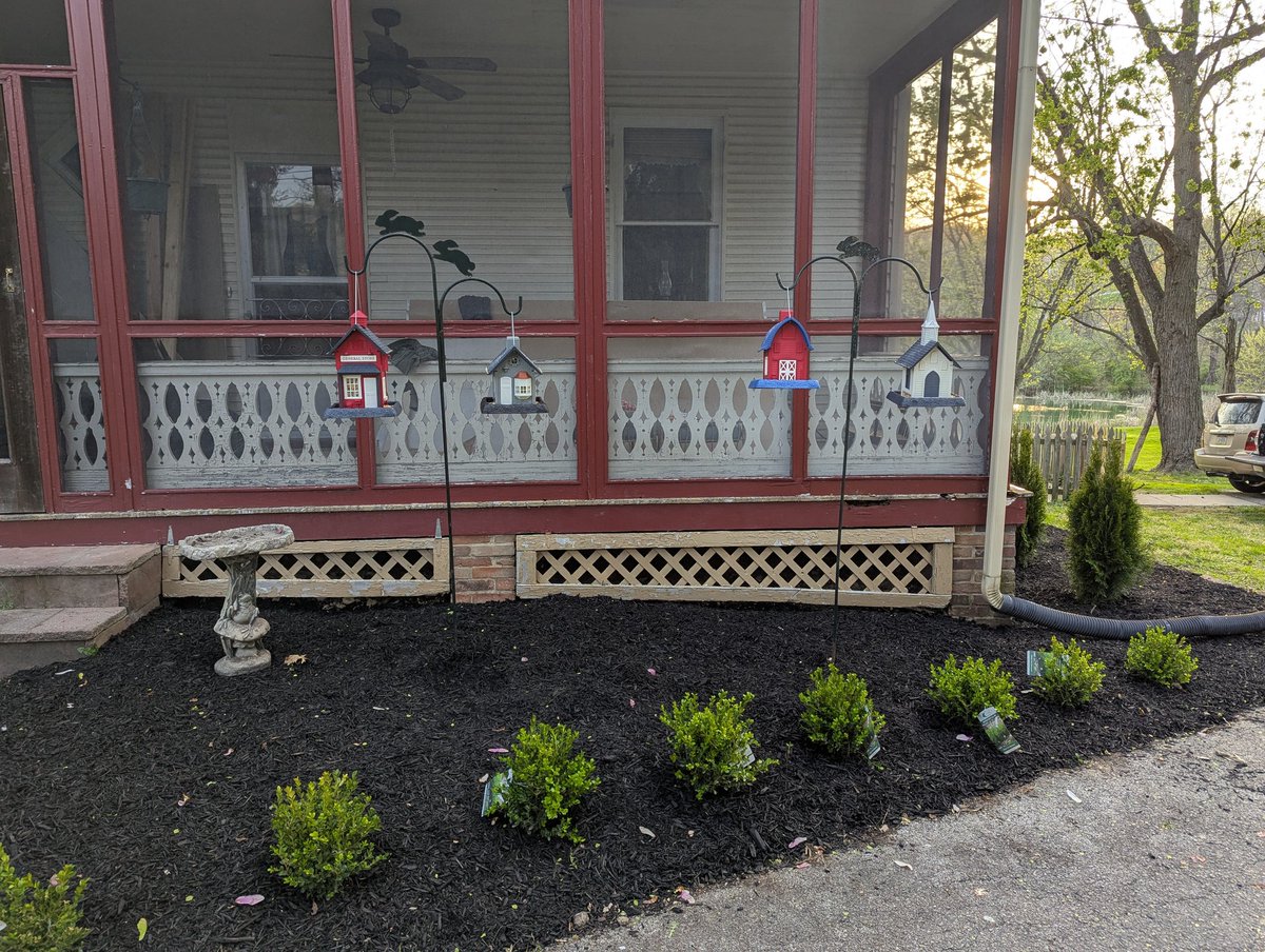 madmandrils's tweet image. Fresh mulch and everyone picked out a  birdfeeder